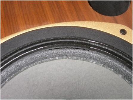 Tannoy SRM12B Close Up 1 Tannoy SRM12B Close Up 1