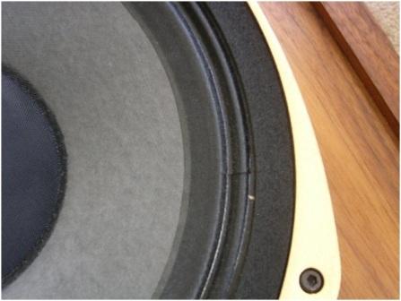 Tannoy SRM12B Close Up 2 Tannoy SRM12B Close Up 2