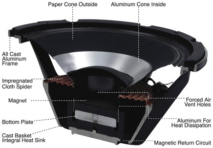 Speakers Anatomy